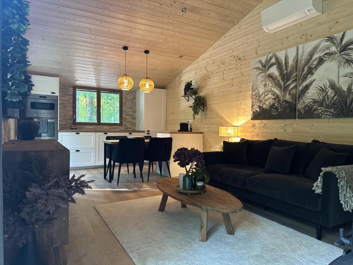 Chalet Le Du Lys Avec Bain Scandinave Insolys