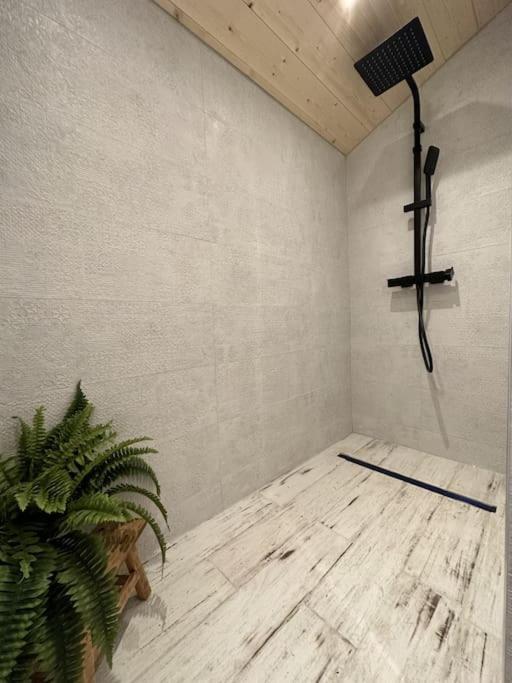 Chalet Le Du Lys Avec Bain Scandinave Insolys *